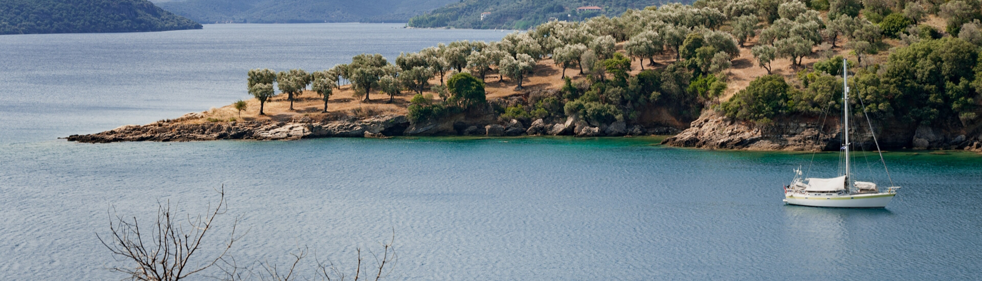 ΣΥΧΝΕΣ ΕΡΩΤΗΣΕΙΣ